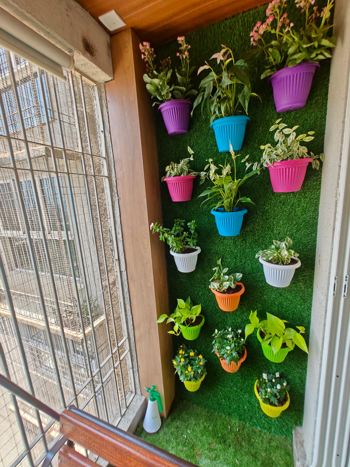 Colourful hanging plants on a green balcony wall