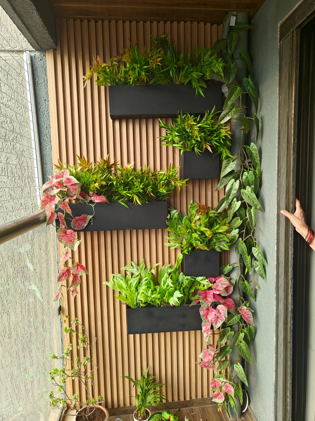 Leafy plants in wall-mounted planters on a wooden balcony feature wall