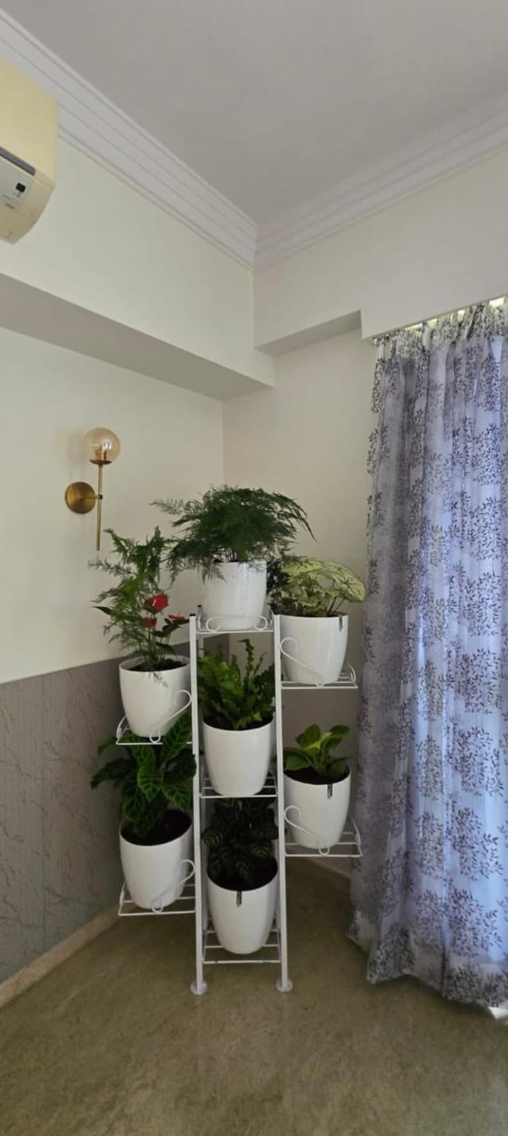 Indoor plants displayed in white pots on a stand